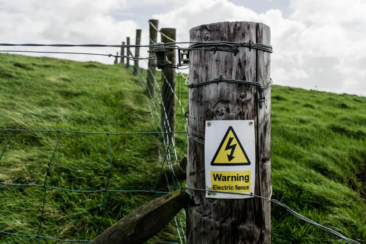 Электропастух: руководство по выбору